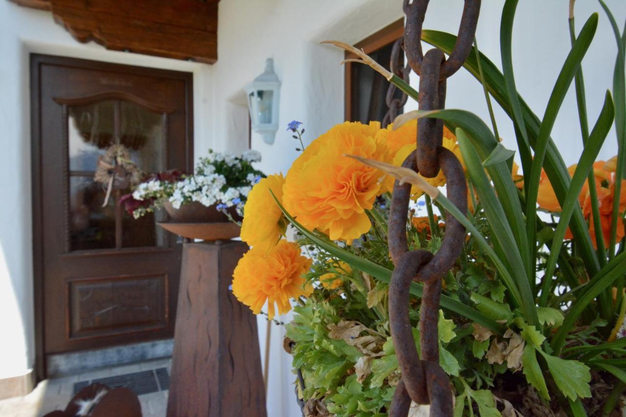 Appartement Oberschernthann Hopfgarten im Brixental Exteriör bild
