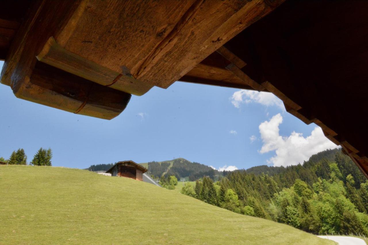 Appartement Oberschernthann Hopfgarten im Brixental Exteriör bild