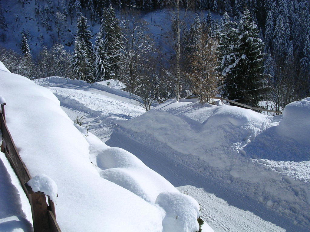 Appartement Oberschernthann Hopfgarten im Brixental Exteriör bild
